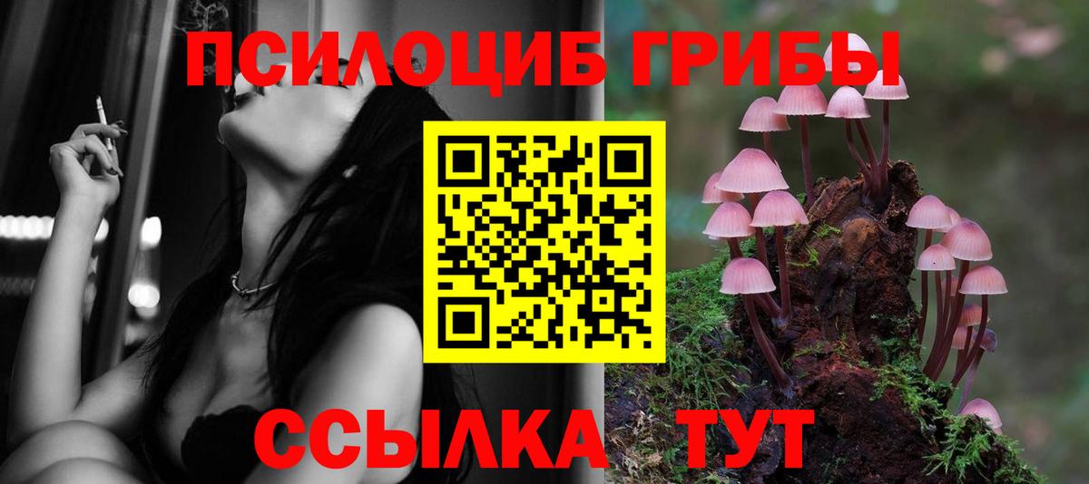 Галлюциногенные грибы GOLDEN TEACHER  Вход с VPN  Славгород 