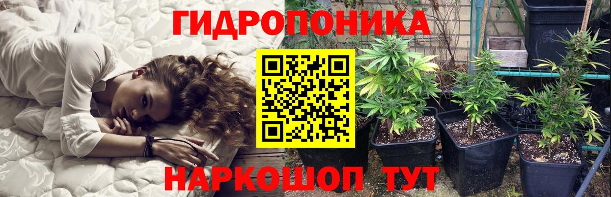 Бошки марихуана индика  Вход с VPN  Каннабис конопля  МАРИХУАНА Amnesia  МАРИХУАНА VHQ  Славгород 
